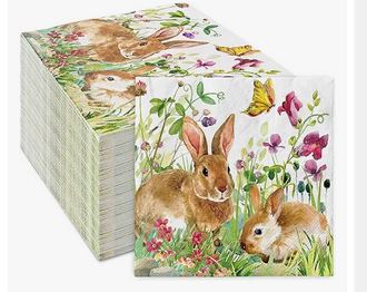 Easter Bunny and Flower Napkins